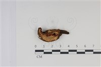 館號:F0034969藏品圖，第1張