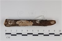 登錄號:F0034970藏品圖，第1張