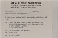 登錄號:F0034971藏品圖，第2張