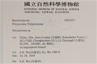 登錄號:F0034972藏品圖，第2張