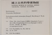登錄號:F0034973藏品圖，第2張