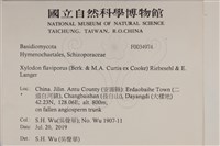 登錄號:F0034974藏品圖，第2張