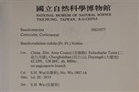 登錄號:F0034977藏品圖，第2張