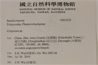 登錄號:F0034978藏品圖，第2張