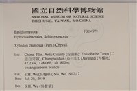 登錄號:F0034979藏品圖，第2張
