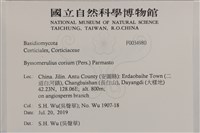 登錄號:F0034980藏品圖，第2張