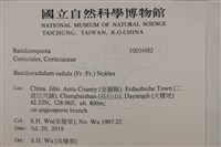 登錄號:F0034982藏品圖，第2張