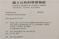登錄號:F0034983藏品圖，第2張