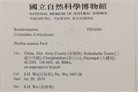 登錄號:F0034984藏品圖，第2張