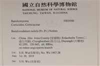 登錄號:F0034986藏品圖，第2張