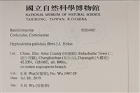 登錄號:F0034987藏品圖，第2張
