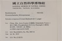 登錄號:F0034989藏品圖，第2張