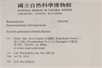 登錄號:F0034990藏品圖，第2張