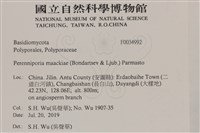 登錄號:F0034992藏品圖，第2張