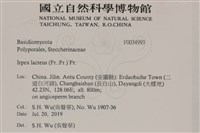登錄號:F0034993藏品圖，第2張
