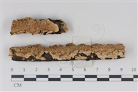 登錄號:F0034993藏品圖，第1張