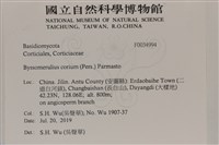 登錄號:F0034994藏品圖，第2張