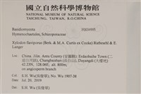 登錄號:F0034995藏品圖，第2張