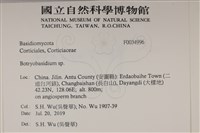 登錄號:F0034996藏品圖，第2張