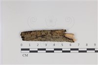 登錄號:F0034996藏品圖，第1張