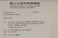 登錄號:F0034997藏品圖，第2張