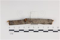 登錄號:F0034997藏品圖，第1張