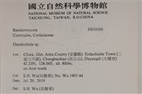 登錄號:F0034998藏品圖，第2張