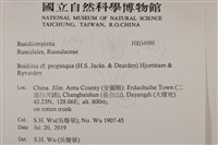 登錄號:F0034999藏品圖，第2張