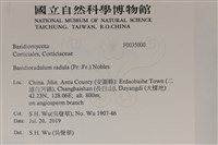 登錄號:F0035000藏品圖，第2張