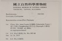 登錄號:F0035002藏品圖，第2張