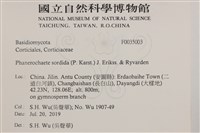 登錄號:F0035003藏品圖，第2張