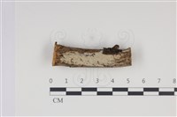 登錄號:F0035003藏品圖，第1張
