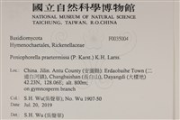 登錄號:F0035004藏品圖，第2張