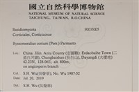 登錄號:F0035005藏品圖，第2張