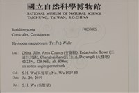 登錄號:F0035006藏品圖，第2張