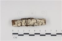 登錄號:F0035007藏品圖，第1張