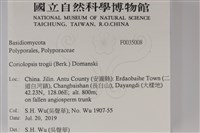 館號:F0035008藏品圖，第2張
