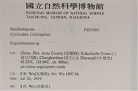 登錄號:F0035009藏品圖，第2張