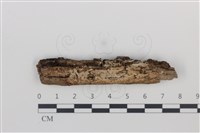 登錄號:F0035009藏品圖，第1張