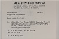 登錄號:F0035011藏品圖，第2張