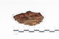 登錄號:F0035011藏品圖，第1張