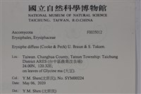 登錄號:F0035012藏品圖，第2張