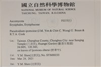 登錄號:F0035013藏品圖，第2張