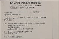 登錄號:F0035014藏品圖，第2張