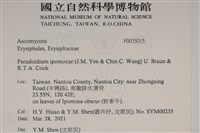 登錄號:F0035015藏品圖，第2張