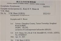 登錄號:F0035016藏品圖，第3張