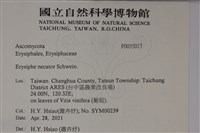 登錄號:F0035017藏品圖，第2張