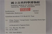 登錄號:F0035019藏品圖，第2張