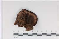 登錄號:F0035019藏品圖，第3張