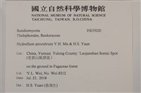 登錄號:F0035020藏品圖，第2張